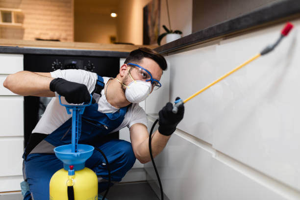 Best Emergency Pest Control  in Ephrata, WA