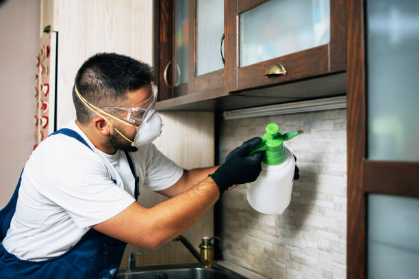 Pest Control for Restaurants in Ephrata, WA