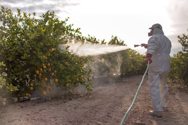 Best Exterminator Services  in Ephrata, WA